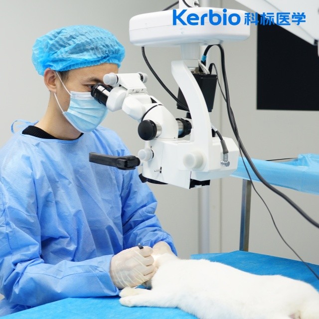 http://www.kongqijiance.cn/uploadfiles/60.247.152.80/webid1539/source/202410/3174117285520325.jpg